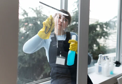 Nettoyage de vitres intérieures et extérieures à Saint-Bonnet-de-Rochefort